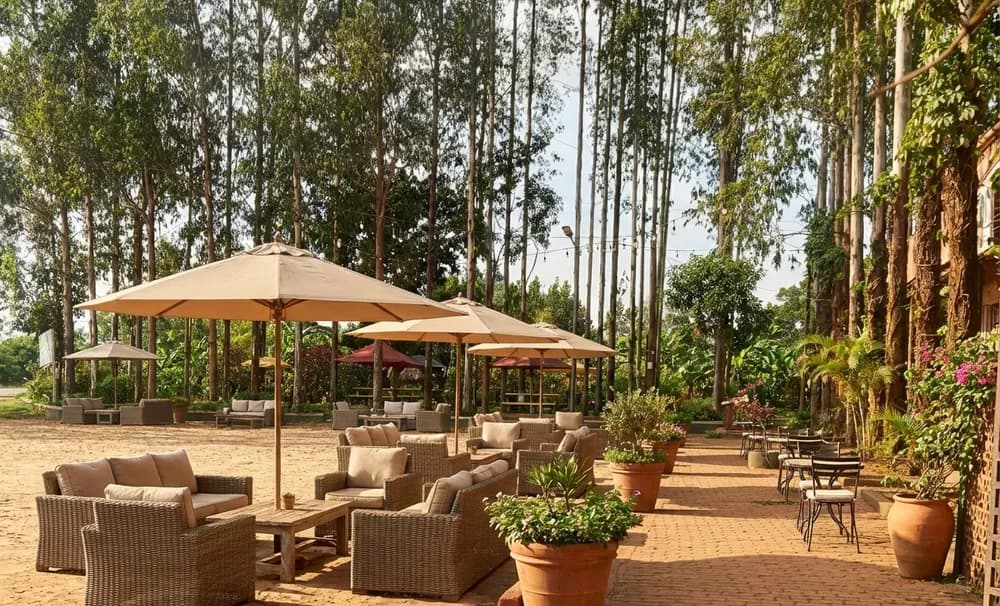 Outdoor Seating at Kiston - Safe and secure food stop in Magamaga